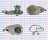 RENAU 0996018700 Water Pump